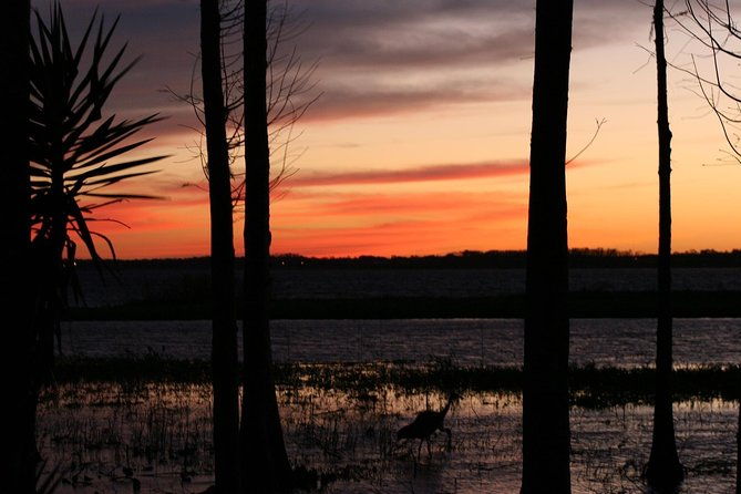 1-hour-evening-airboat-ride