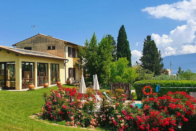 1-hour-tasting-of-artisan-liqueurs-in-the-umbrian-countryside