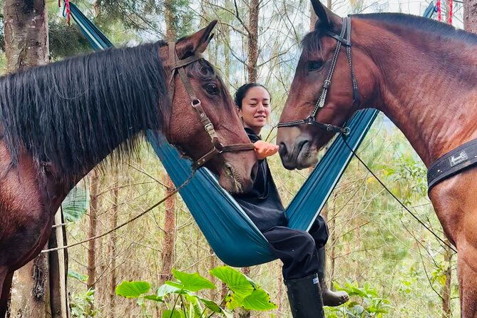 100-year-old-family-finca-adventure-horseback-riding-more
