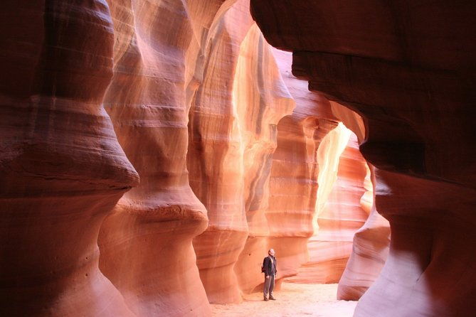 11-day-best-of-the-west-national-parks-tour-las-vegas-to-san-francisco