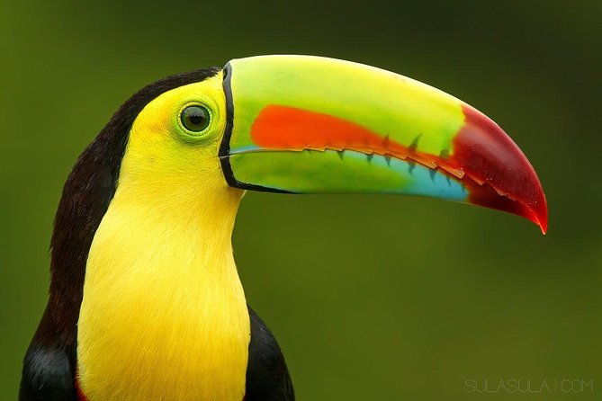 13-days-program-best-spots-of-costa-rica