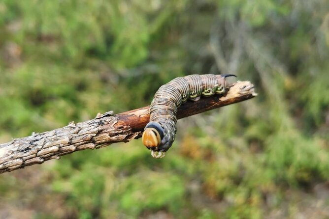 2-day-small-group-basic-skills-survival-course-in-sodermanland