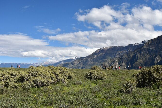 2-day-tour-to-the-magical-colca-canyon