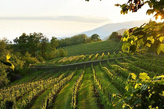 2-guests-private-prosecco-road-tour-all-inclusive-from-conegliano