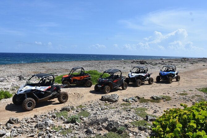 2-hour-buggy-adventure-tour-in-curacao