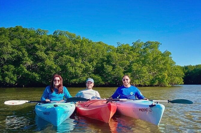 2-hour-guided-kayak-tour-in-boca-ciega-bay-st-pete-2