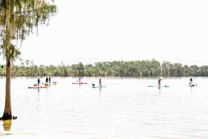 2-hour-stand-up-paddleboard-rental-from-lake-buena-vista-area