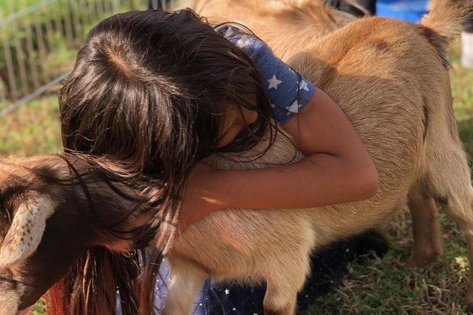 2-hour-valentine-horseback-riding-adventure-in-agoura-hills
