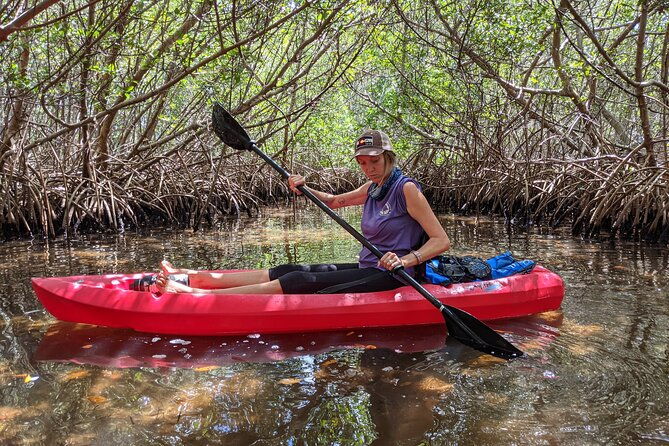 2-hours-kayak-eco-tour-in-tarpon-springs