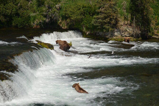 2-park-bear-viewing-adventure-to-katmai-and-lake-clark-np