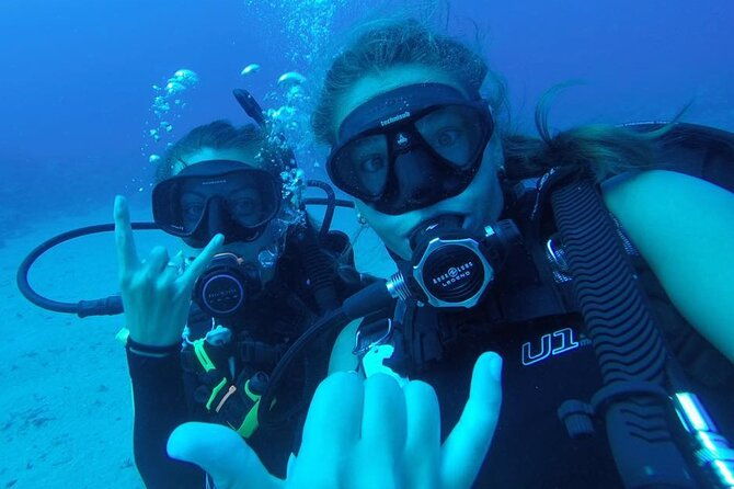 2-tank-shore-dive-at-sea-turtle-cove