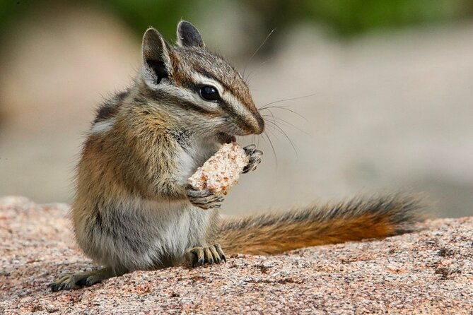 3-4-day-rocky-mountain-np-mountain-to-skybear-lake-rd-tour-rmnphotographer