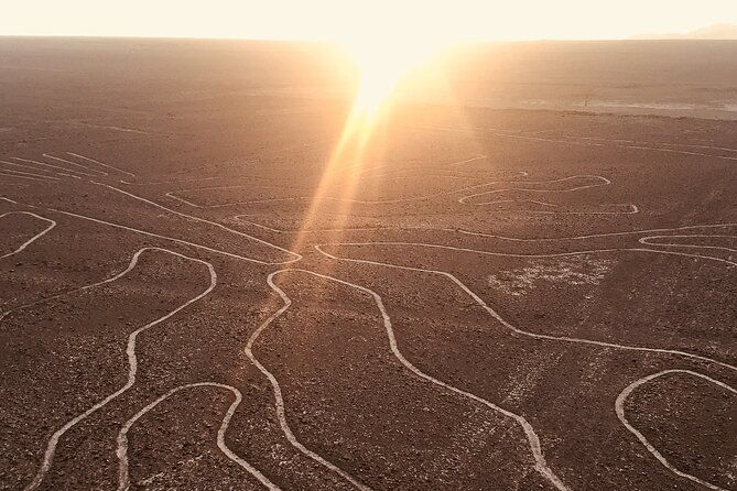 3-day-tour-from-lima-nazca-lines-flight-paracas-and-huacachina