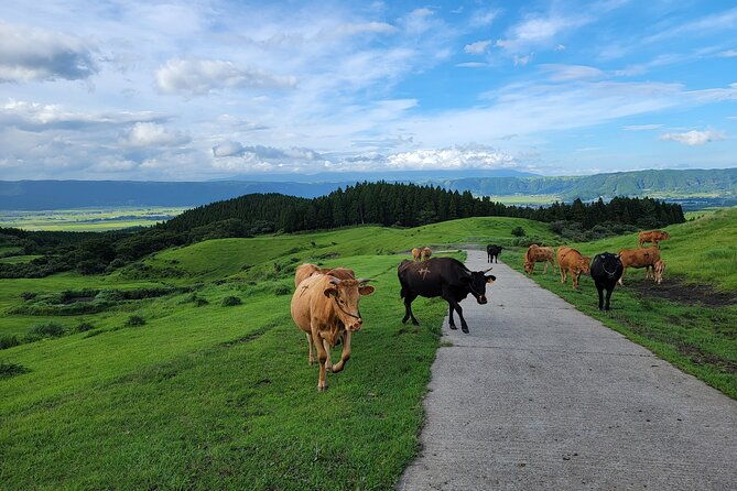 3-days-in-aso-to-experience-the-nature-and-peoples-lives-of-the-active-volcano