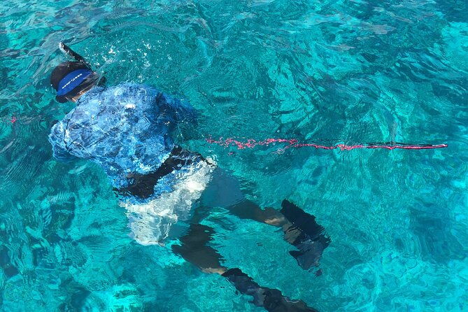 3-hour-private-snorkeling-in-marathon-florida-2