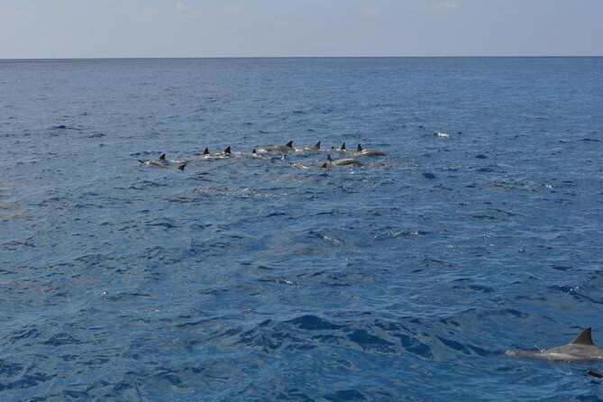 3-hour-small-group-maalaea-luxury-snorkel-cruise-tour-2