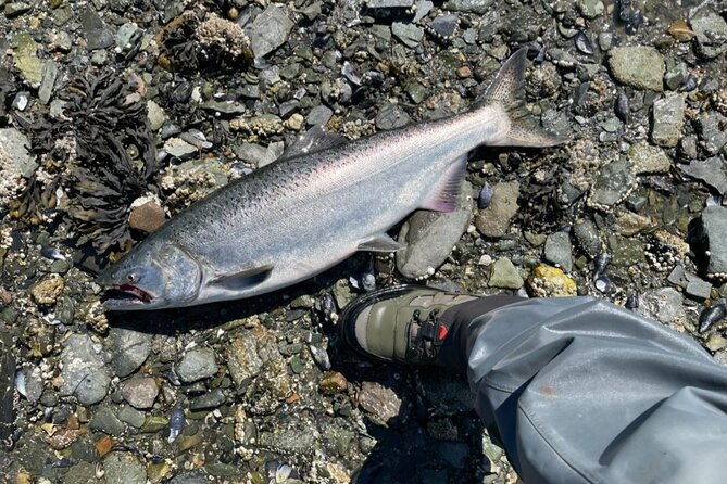 3-hours-fishing-experience-class-in-juneau