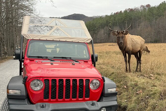 3-hr-smoky-mountain-cherokee-blue-ridge-parkway-jeep-adventure-2