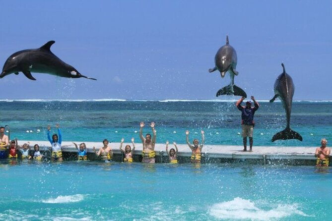 3-hrs-glass-boat-tour-in-punta-cana