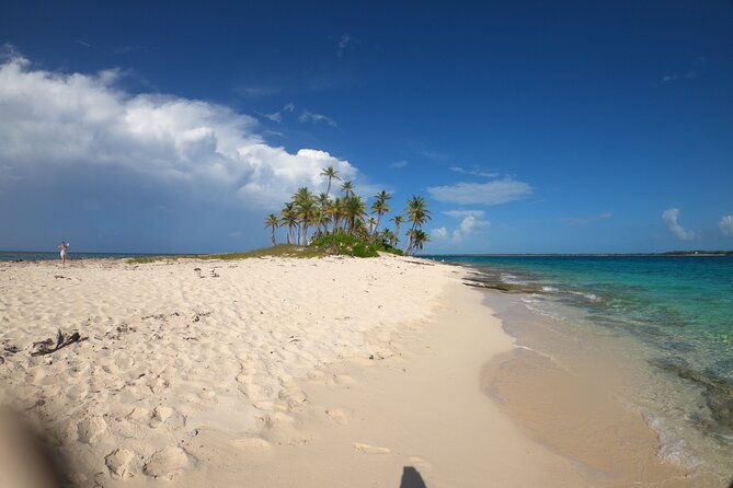 3-islands-boat-adventure-swimming-pigs-snorkeling-and-turtles