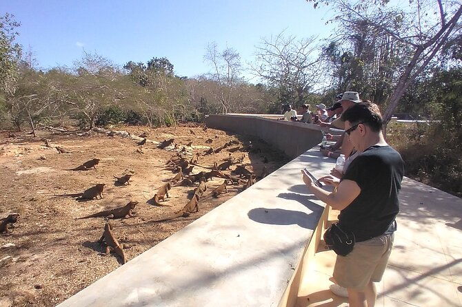 3-tours-in-1-cave-of-wonders-altos-de-chavon-chocolate-factory