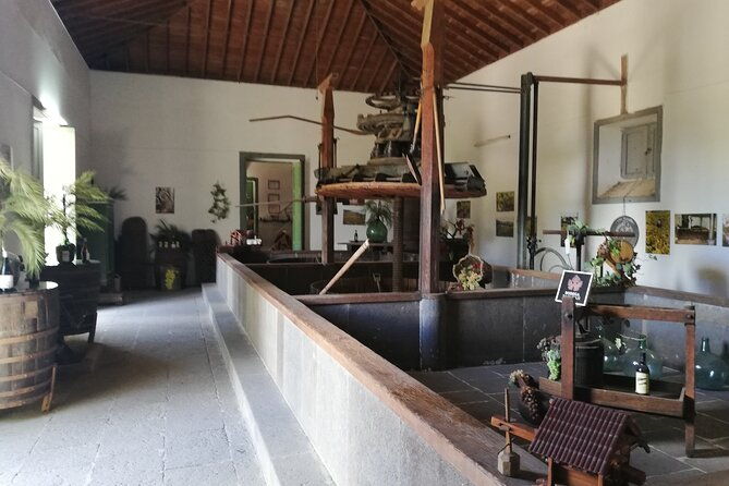 4-5-hours-private-tour-the-best-and-highlights-of-gran-canaria