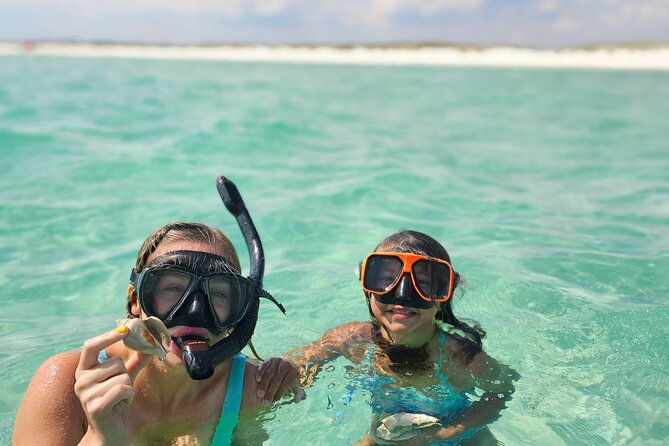 4-hour-eco-dolphin-tour-in-panama