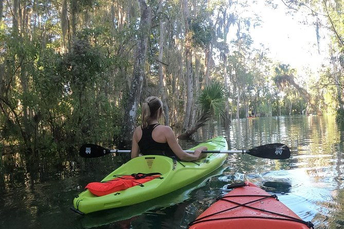 4-hour-single-kayak-rental-in-crystal-river-florida
