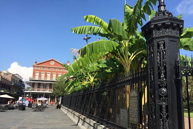 45-minutes-in-jackson-square