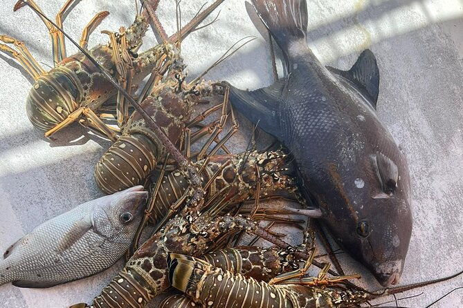 4hr-halfday-private-fishing-tour-in-gracebay