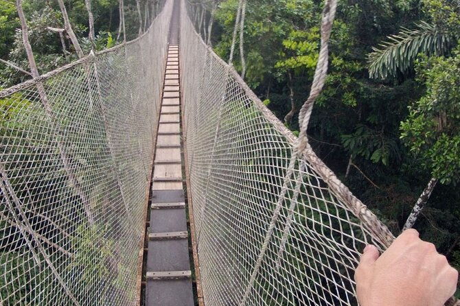 5-day-all-inclusive-guided-jungle-tour-from-iquitos-at-maniti-eco-lodge