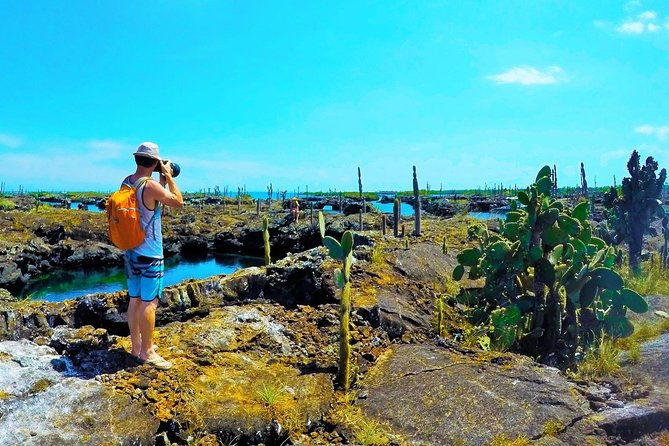 5-day-galapagos-luxury-santa-cruz-isabela-with-local-flight-and-snorkeling
