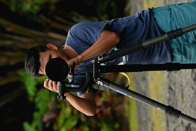 5-hour-birdwatching-and-photography-tour-in-monteverde