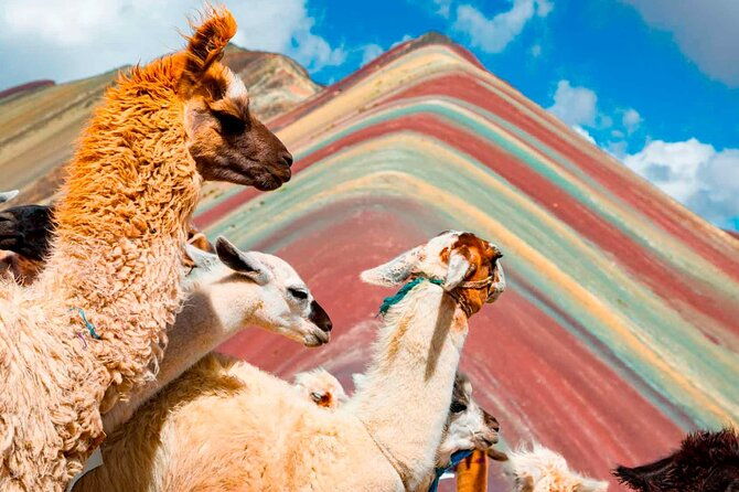 6-day-tour-of-cusco-magico-machu-picchu-rainbow-mountain