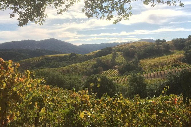 6-hour-exclusive-wine-tour-experience-up-to-6-guests
