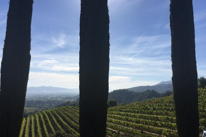 6-hour-private-wine-country-tour-of-napa-valley-up-to-6-people-in-large-suv