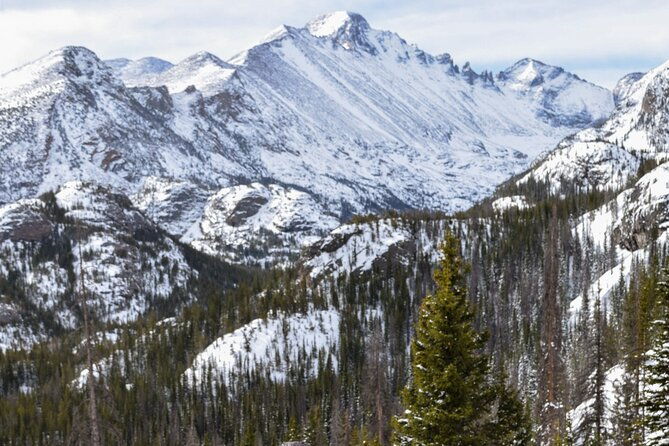 6-hr-private-wildlife-hiking-tour-in-rocky-mountain-national-park