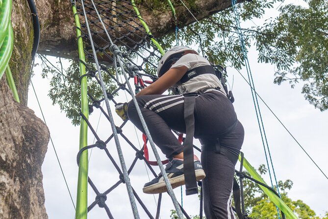 60m-tree-climbing-experience-with-descent-in-tarzan-or-rapel