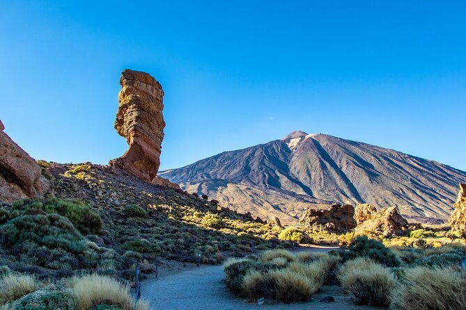 8-hour-rental-in-a-luxury-car-and-driver-official-private-guide-in-tenerife