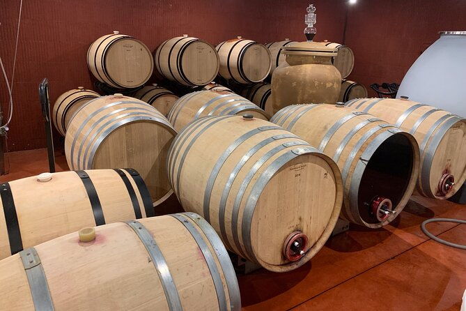 a-day-in-saint-emilion-in-a-small-group-electric-luxury-van-2