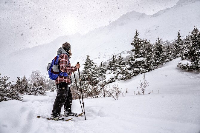 advanced-snowshoeing-adventure