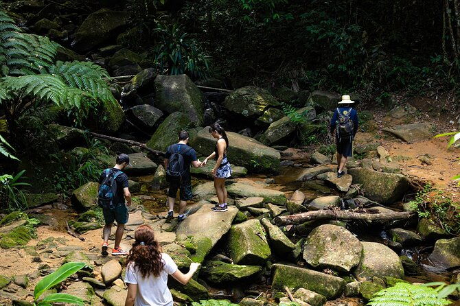 adventure-experience-to-sono-beach-by-paraty-tours