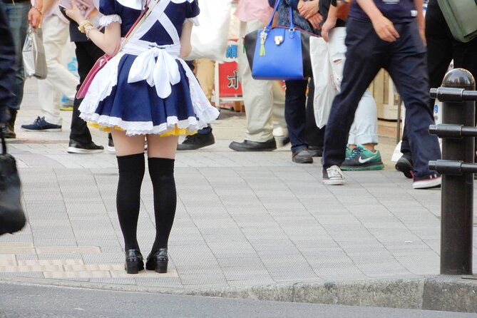 akihabara-otaku-wonderland-100-personalized-tour