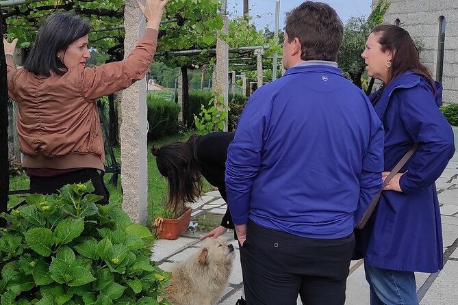 albarino-private-wine-tour-in-rias-baixas
