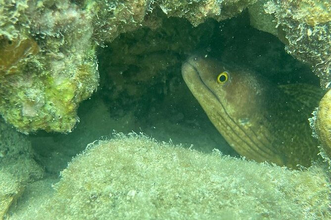 all-day-snorkeling-gear-rental-in-puerto-rico