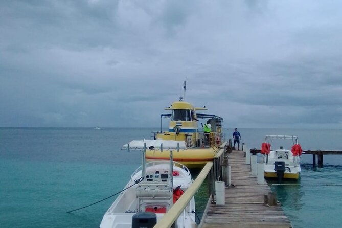 all-inclusive-glass-bottom-boat-wild-life-encounter-and-beach