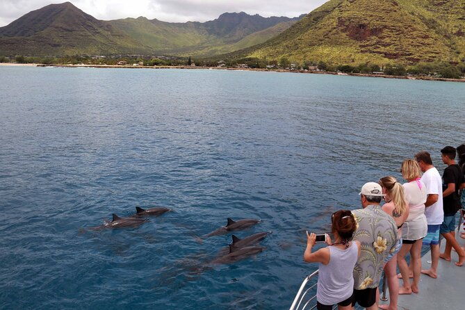 all-inclusive-sunset-dolphin-watch-and-snorkeling-cruise