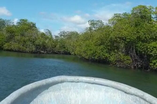 amazing-paradise-island-snorkeling-mangrove-tour-locale-food
