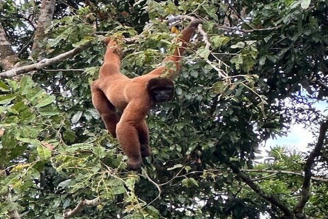 amazon-extreme-adventure-4-days-3-nights-400-usd