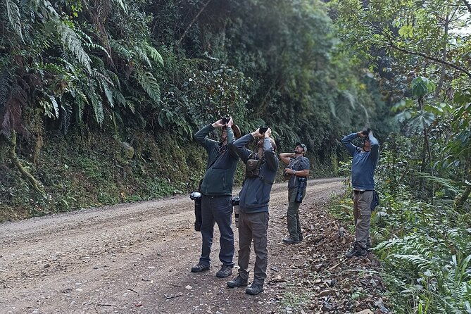 amazon-jungle-tour-3-days